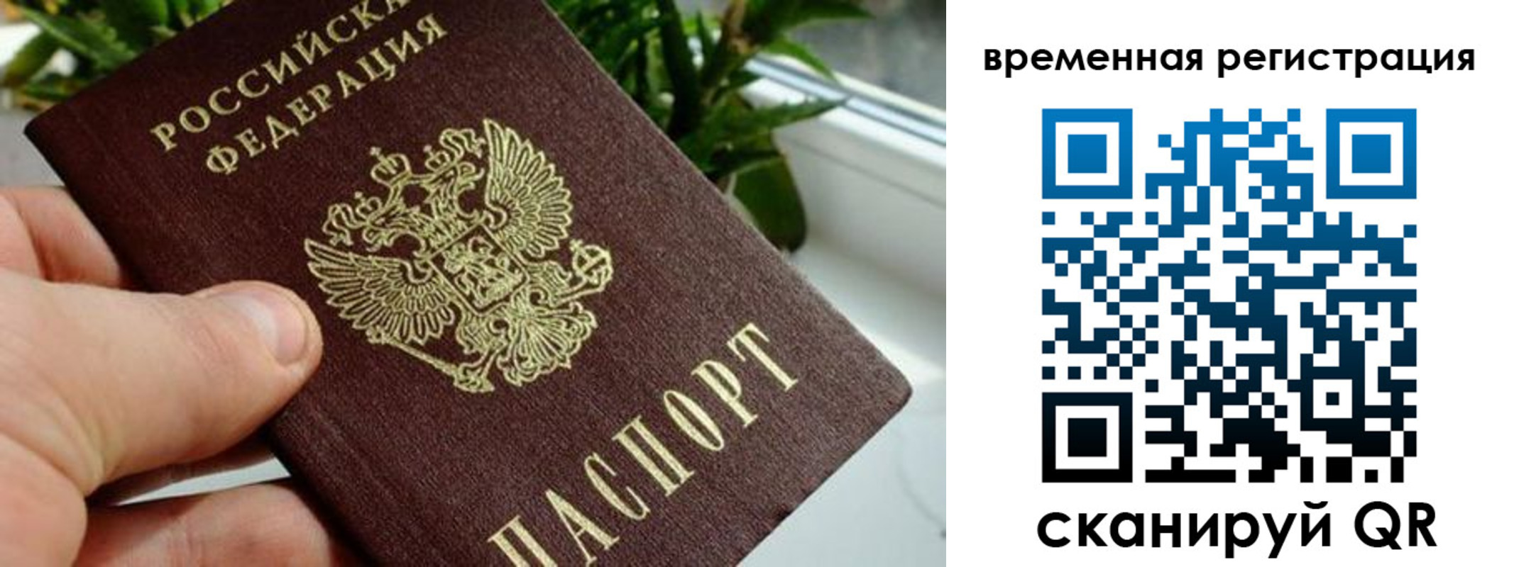 прописка поиск в Миньяре